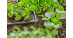 Gardena L-Joint 4.6 Mm (3/16") 8 Gardena L-Joint 4.6 Mm (3/16") -Garden Tools Shop 13212 20 3