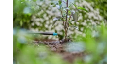 Gardena Endline Drip Head 2 L/h -Garden Tools Shop 13307 20 4