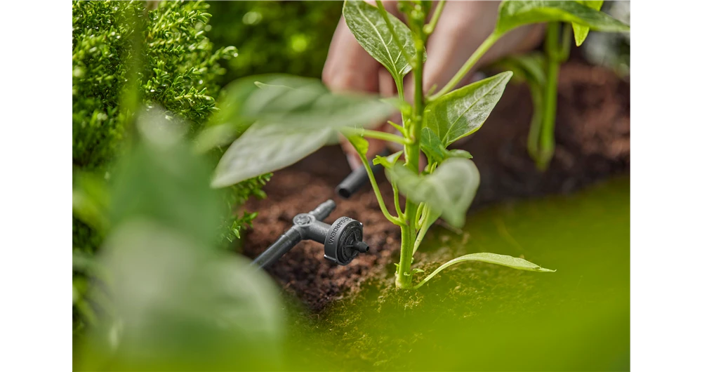 Gardena Pressure Compensating Inline Drip Head 2 L/h 5 Gardena Pressure Compensating Inline Drip Head 2 L/h - Image 3