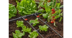 Gardena Pressure Compensating Inline Drip Head 2 L/h 11 Gardena Pressure Compensating Inline Drip Head 2 L/h -Garden Tools Shop 13312 20 5