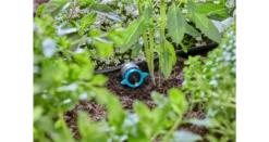 Gardena Adjustable Pressure Compensating Inline Drip Head 1–8 L/h 10 Gardena Adjustable Pressure Compensating Inline Drip Head 1–8 L/h -Garden Tools Shop 13314 20 4