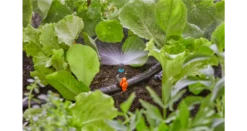 Gardena Spray Nozzle 180° 13321-20 -Garden Tools Shop 13321 20 3