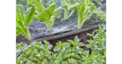 Gardena Spray Nozzle 180° 13321-20 -Garden Tools Shop 13321 20 5