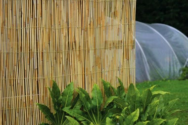 The Good Life Reed Screen 2m X 4m 3 The Good Life Reed Screen 2m X 4m