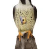 Defenders Falcon Decoy -Garden Tools Shop 942 1