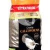Tom Chambers Crunchy Calciworms 500g