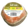 NAF Himalayan Salt Lick