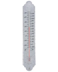 Fallen Fruits Large Zinc Thermometer