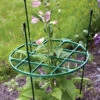 The Good Life Large Plant Support Ring 400mm -Garden Tools Shop Plant Support Ring in Use 1