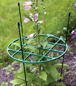 The Good Life Large Plant Support Ring 400mm