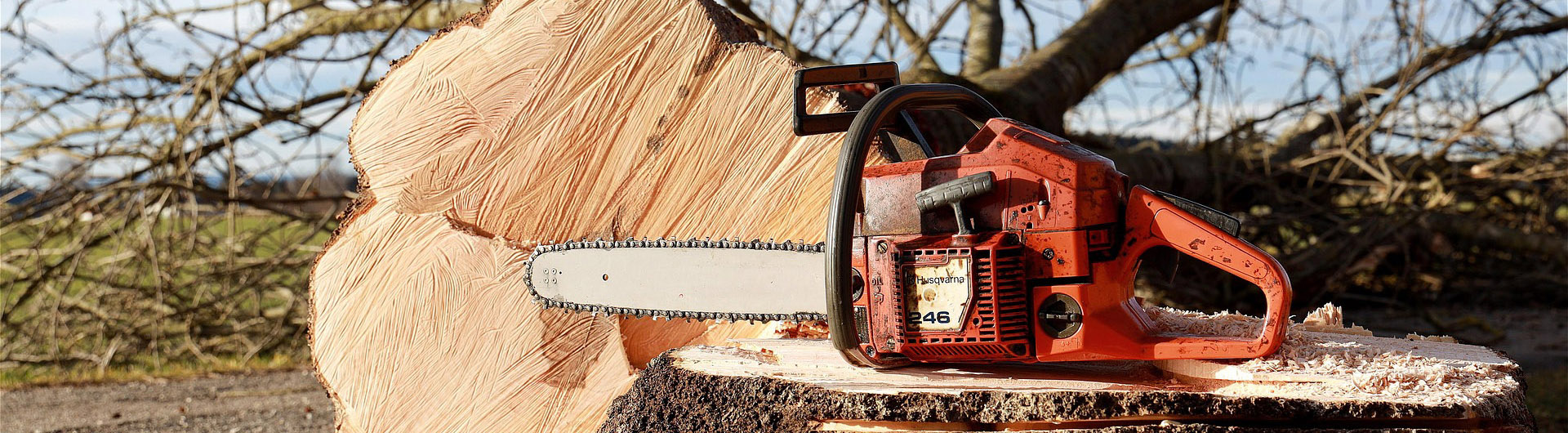 Garden Tools Shop -Garden Tools Shop chainsaw 4815949 1920