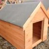 Dog Kennel - 4' X 3' -Garden Tools Shop img 1306 1 1