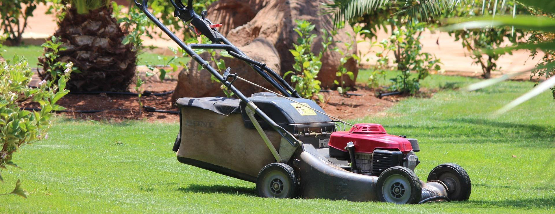 Garden Tools Shop -Garden Tools Shop mower 320799 1920