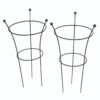 Tom Chambers Peony Support Small 64cm - Pack Of 2 1 Tom Chambers Peony Support Small 64cm - Pack Of 2 -Garden Tools Shop ob015s herbaceous supports twin pack small c5fd5d90 7ed4 4e15 8daa 607b90474554