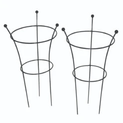 Tom Chambers Peony Support Small 64cm - Pack Of 2