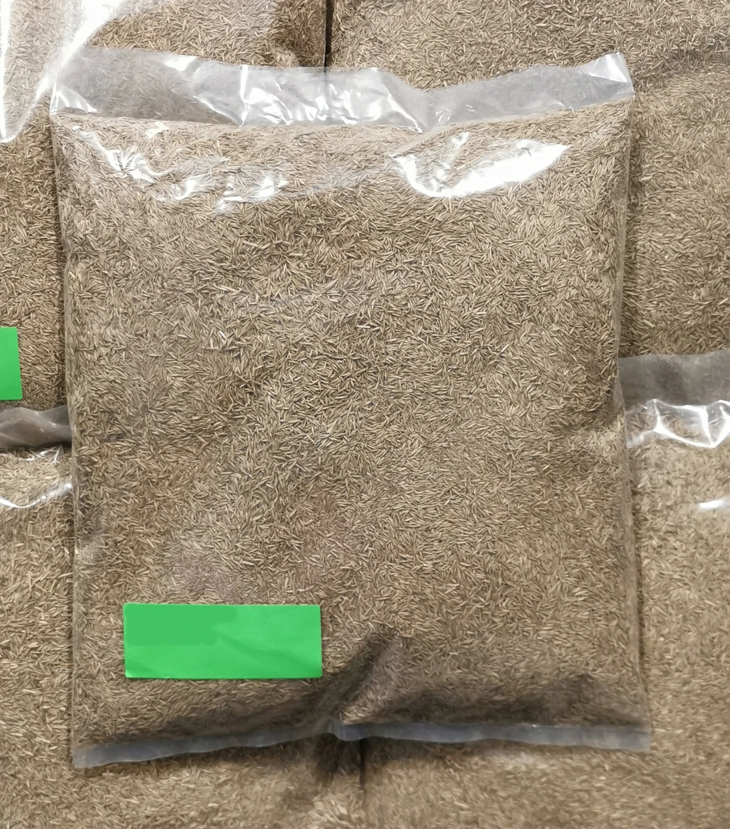 Sammie's Seeds Greensward Grass Mix 3 Sammie's Seeds Greensward Grass Mix