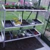 Halls 3-Tier Seed Tray Frame 2 Halls 3-Tier Seed Tray Frame -Garden Tools Shop seed tray 15 tray p1010016 2