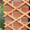 The Good Life Wooden Expandable Trellis 1.8m X 0.3m -Garden Tools Shop trellis wood expanding 1